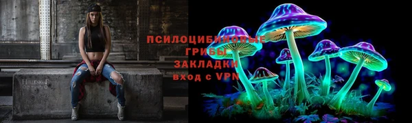 дурь Елизово