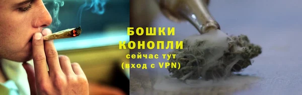дурь Елизово