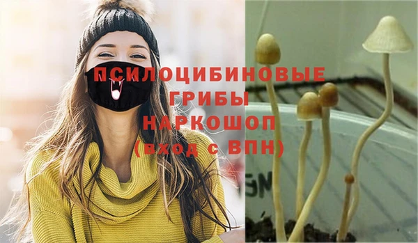 дурь Елизово