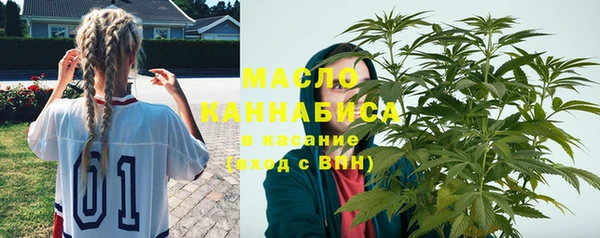 МДПВ Щигры