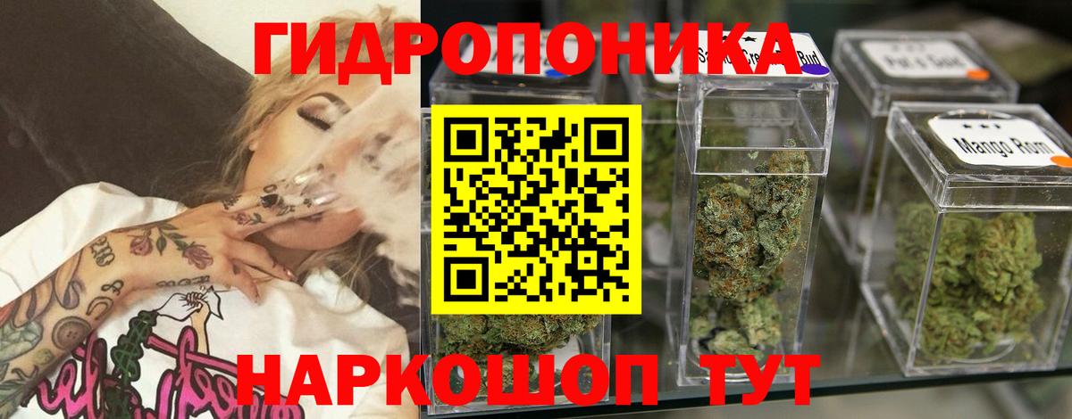 Бошки Шишки Bruce Banner Обь